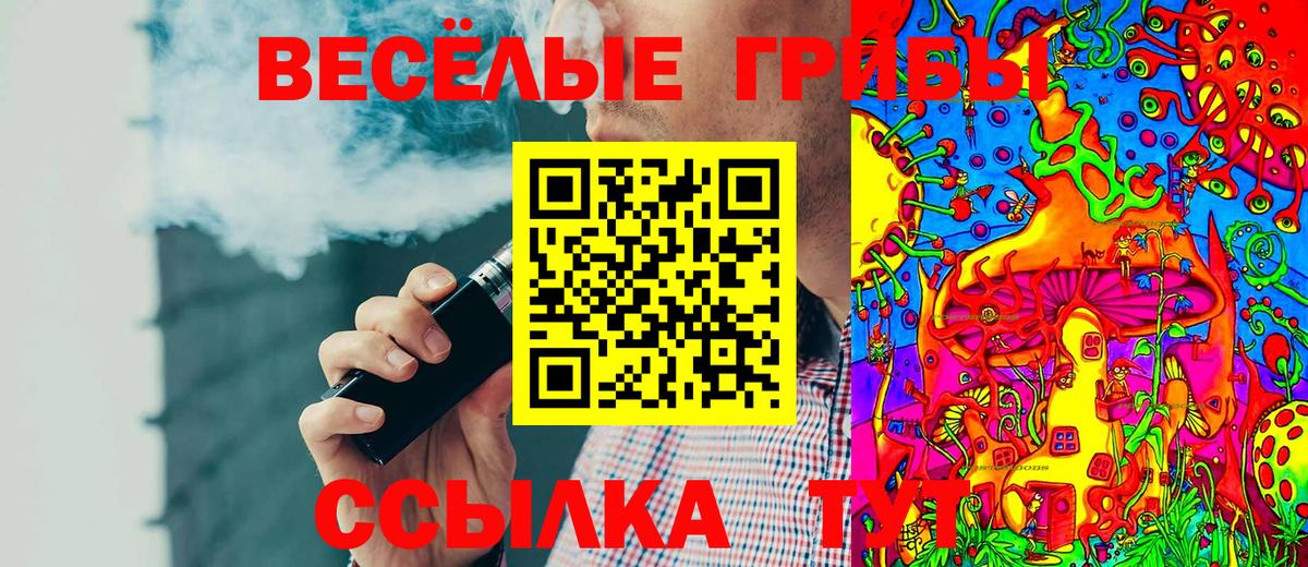 Тула  Псилоцибиновые грибы GOLDEN TEACHER  Псилоцибиновые грибы мицелий  Вход с VPN 