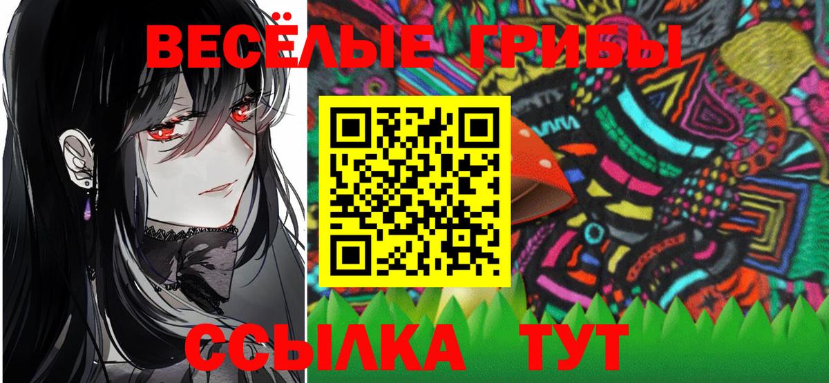 Псилоцибиновые грибы мухоморы Тула